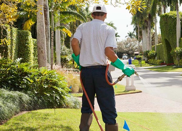 About Belmond IA Pest Control